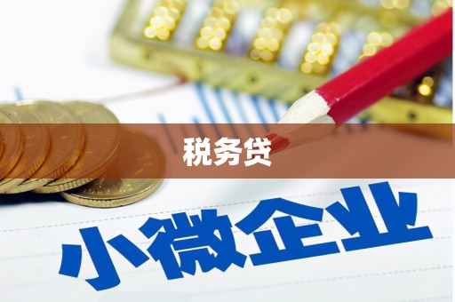 沾化税务贷