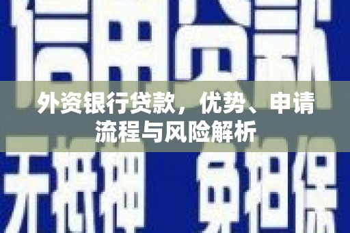 沾化外资银行贷款，优势、申请流程与风险解析