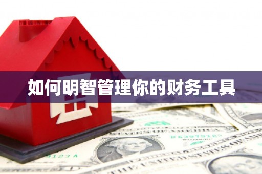 沾化如何明智管理你的财务工具
