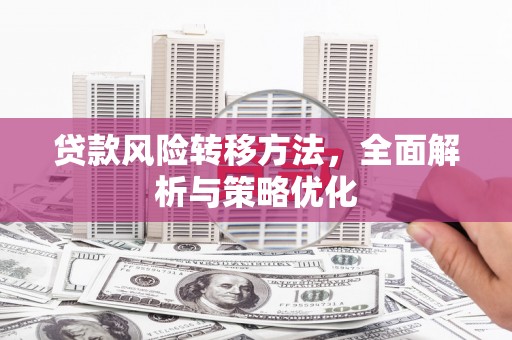 沾化贷款风险转移方法，全面解析与策略优化
