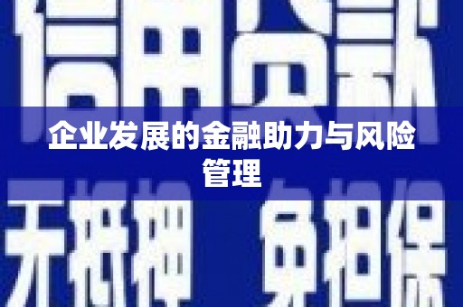 沾化企业发展的金融助力与风险管理