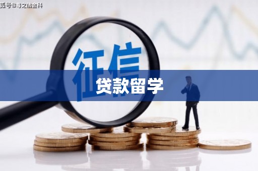 沾化贷款留学