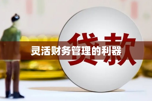 沾化灵活财务管理的利器