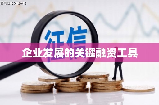 沾化企业发展的关键融资工具