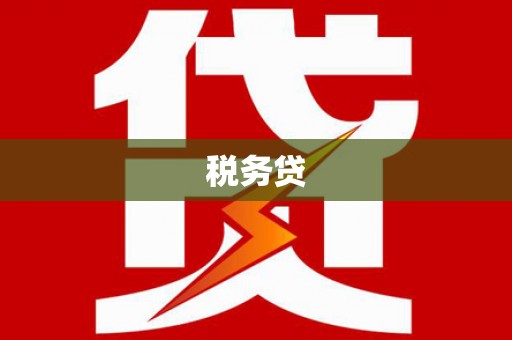 沾化税务贷