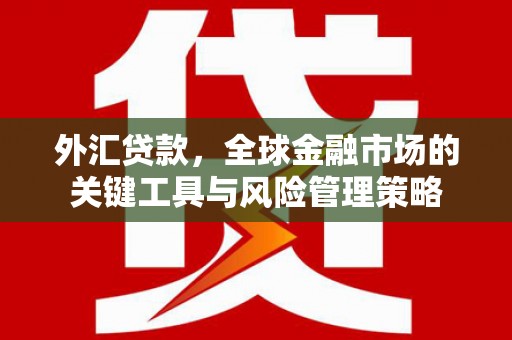 沾化外汇贷款，全球金融市场的关键工具与风险管理策略