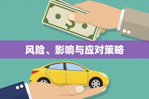 沾化风险、影响与应对策略