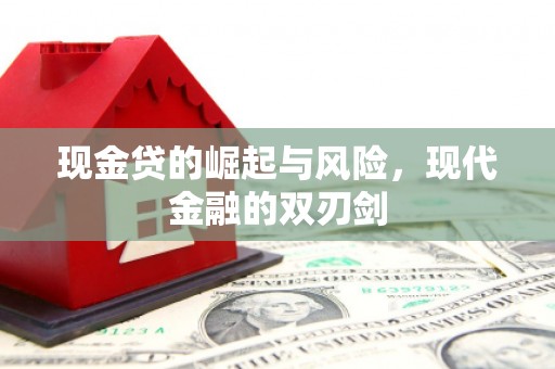 沾化现金贷的崛起与风险，现代金融的双刃剑