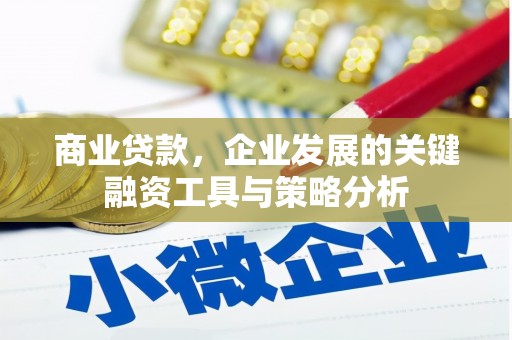 沾化商业贷款，企业发展的关键融资工具与策略分析