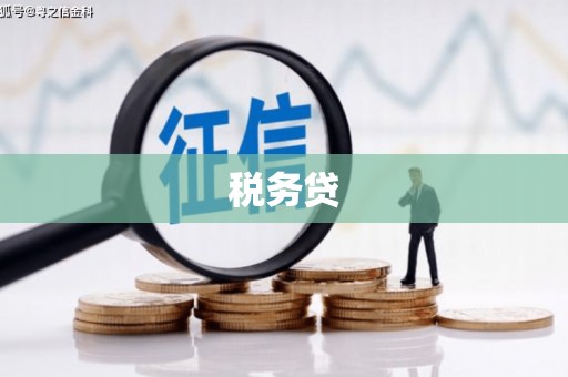 沾化税务贷