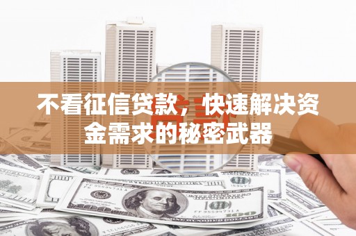 沾化不看征信贷款，快速解决资金需求的秘密武器