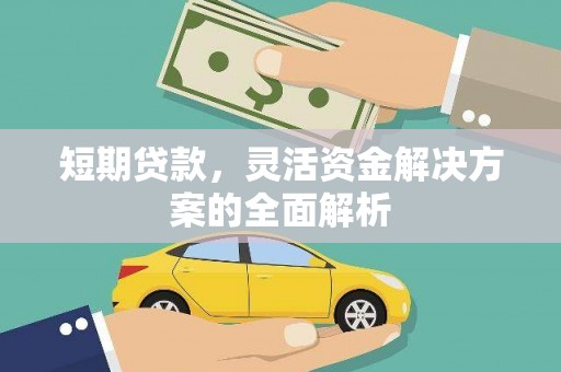 沾化短期贷款，灵活资金解决方案的全面解析
