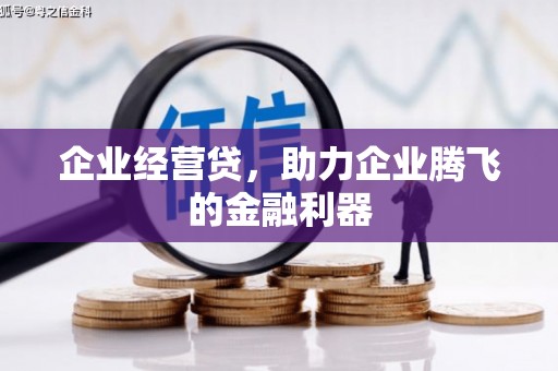 沾化企业经营贷，助力企业腾飞的金融利器