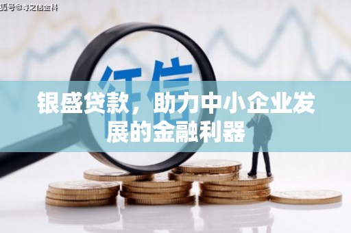 沾化银盛贷款，助力中小企业发展的金融利器