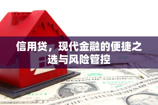 沾化信用贷，现代金融的便捷之选与风险管控
