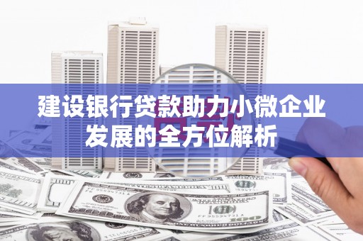 沾化建设银行贷款助力小微企业发展的全方位解析