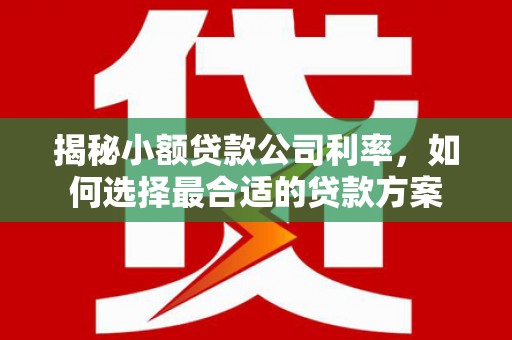 沾化揭秘小额贷款公司利率，如何选择最合适的贷款方案