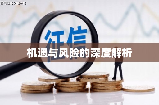 沾化机遇与风险的深度解析
