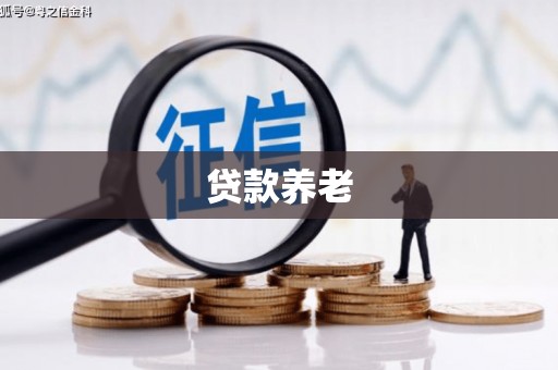 沾化贷款养老