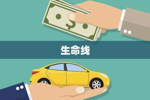 沾化生命线