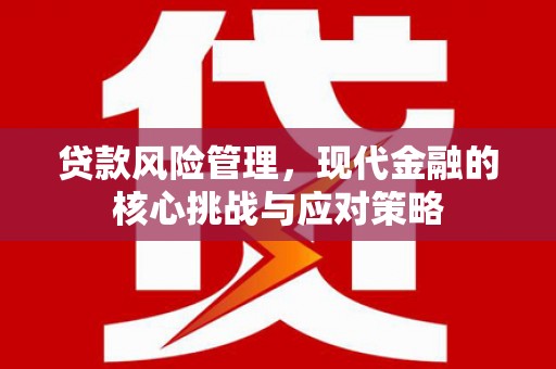 沾化贷款风险管理，现代金融的核心挑战与应对策略