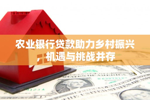 沾化农业银行贷款助力乡村振兴，机遇与挑战并存
