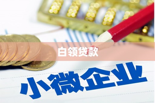 沾化白领贷款