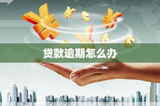 沾化贷款逾期怎么办