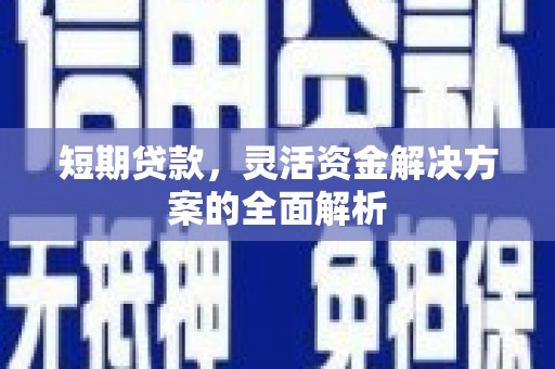 沾化短期贷款，灵活资金解决方案的全面解析
