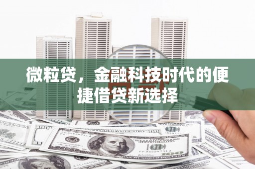 沾化微粒贷，金融科技时代的便捷借贷新选择