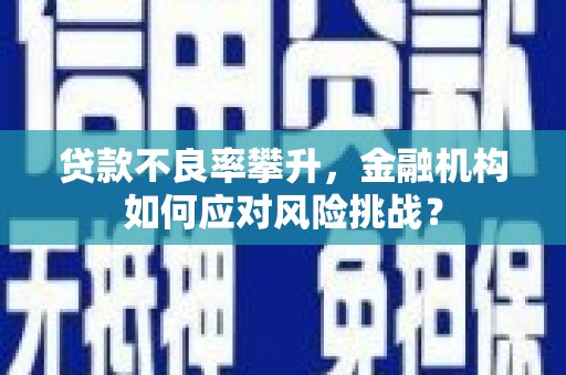 沾化贷款不良率攀升，金融机构如何应对风险挑战？