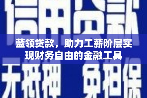 沾化蓝领贷款，助力工薪阶层实现财务自由的金融工具