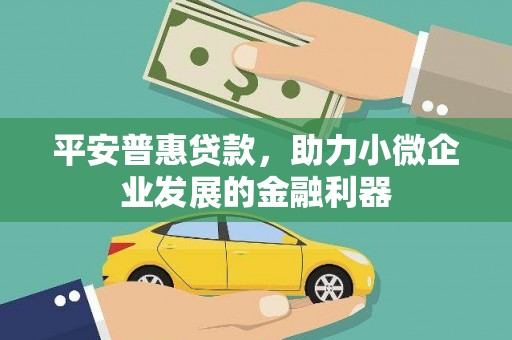 沾化平安普惠贷款，助力小微企业发展的金融利器