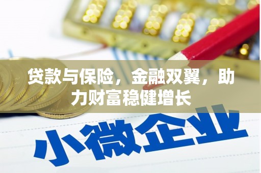 沾化贷款与保险，金融双翼，助力财富稳健增长