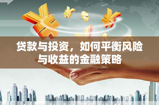 沾化贷款与投资，如何平衡风险与收益的金融策略