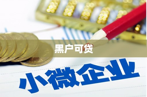 沾化黑户可贷