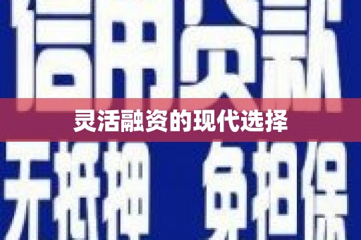 沾化灵活融资的现代选择