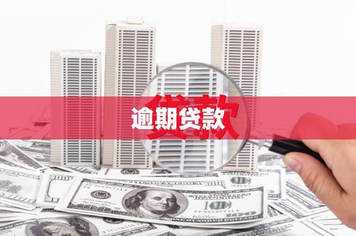 沾化逾期贷款
