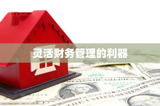 沾化灵活财务管理的利器