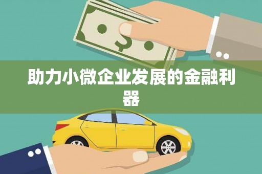 沾化助力小微企业发展的金融利器