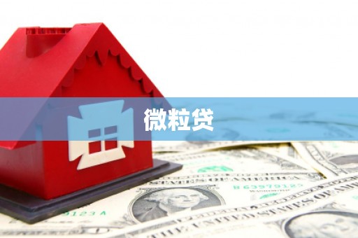 沾化微粒贷