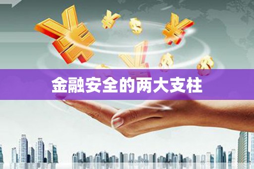 沾化金融安全的两大支柱