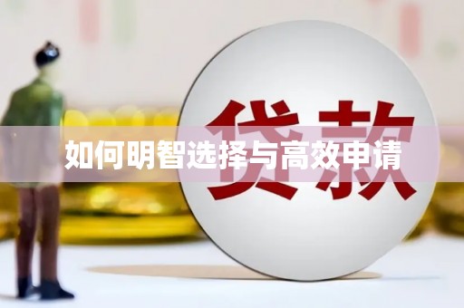 沾化如何明智选择与高效申请
