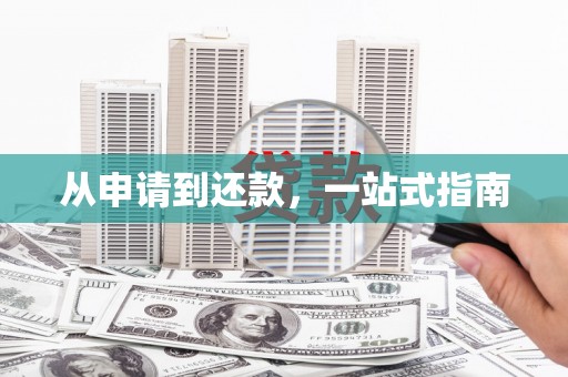 沾化从申请到还款，一站式指南