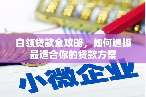 沾化白领贷款全攻略，如何选择最适合你的贷款方案